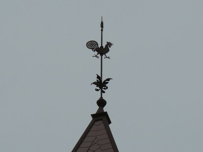 �����{�̊�