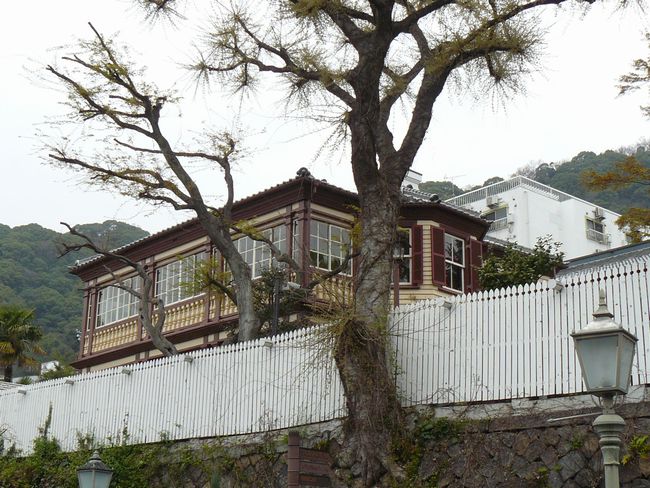 ���C���̊�