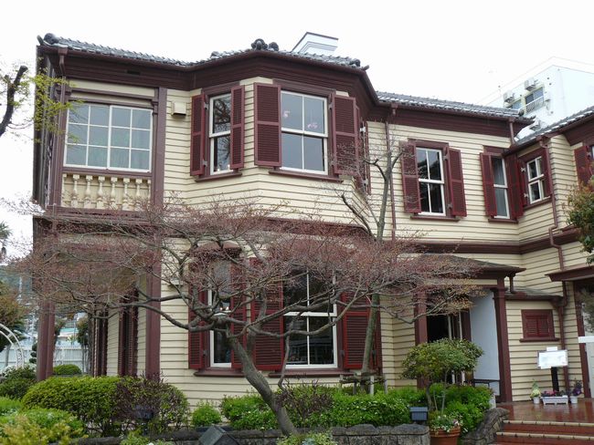 ���C���̊�