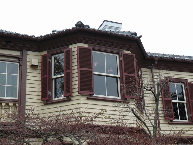 ���C���̊�