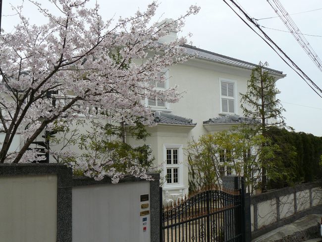 �����C���@