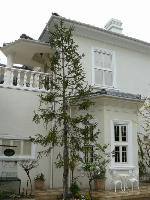 �����C���@