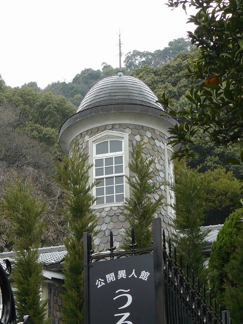 ���낱�̉�