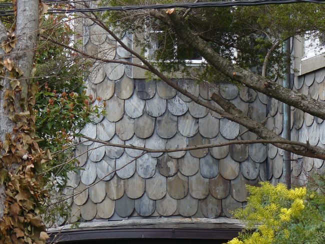 ���낱�̉�