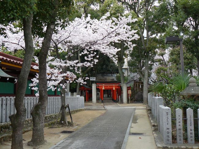 ���c�_��