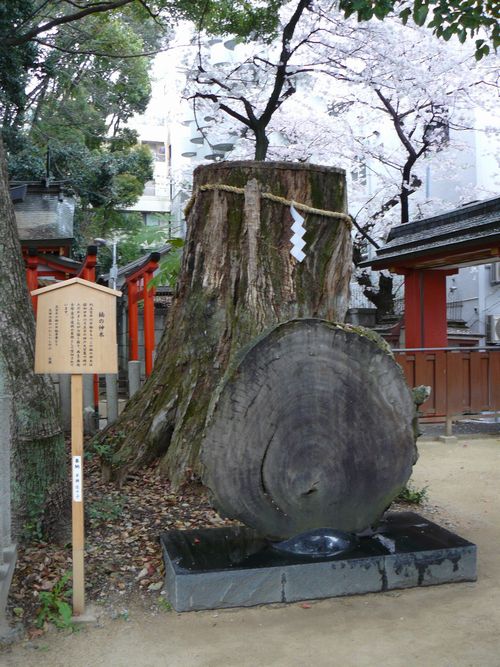 ���c�_��