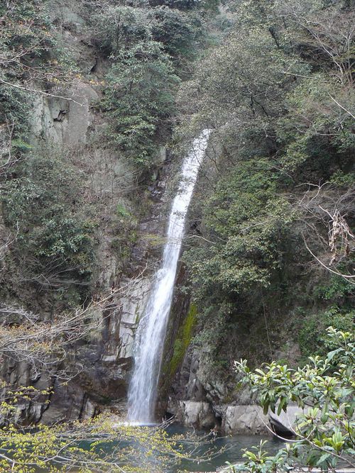 �z���̑�E����