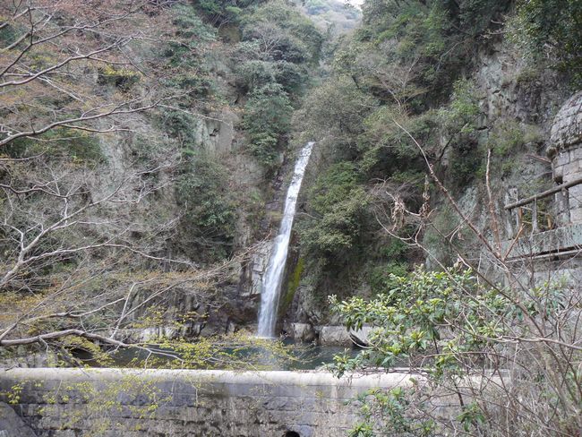 �z���̑�E����