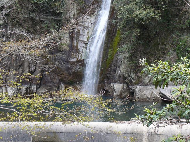 �z���̑�E����