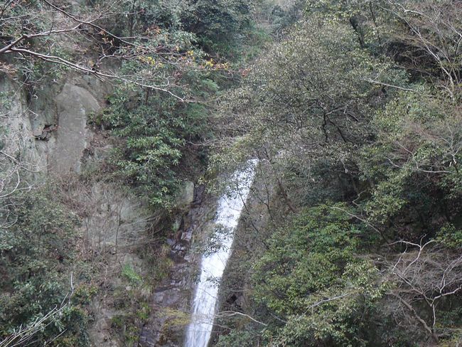 �z���̑�E����