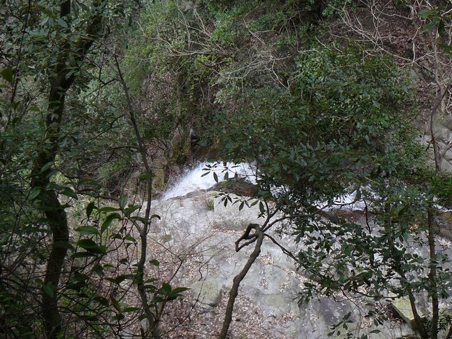 �z���̑�E����