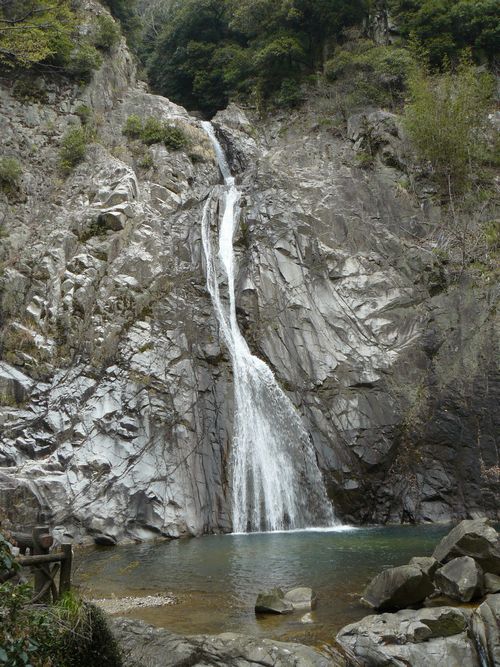 �z���̑�E�Y��