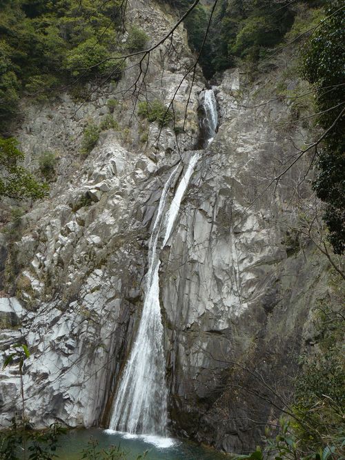 �z���̑�E�Y��