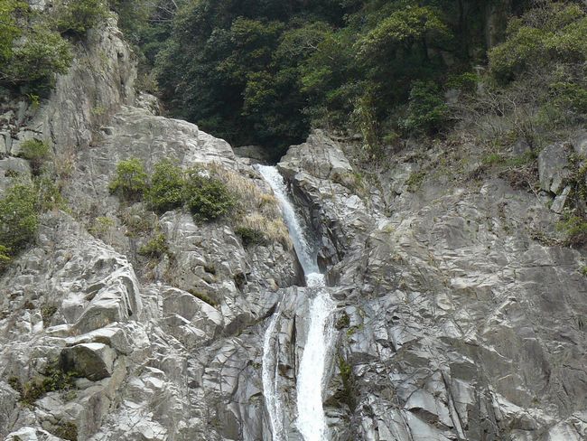 �z���̑�E�Y��