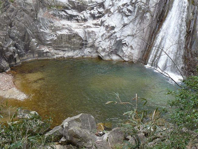 �z���̑�E�Y��