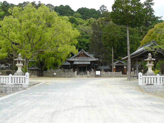 �Z�𔪔��_��