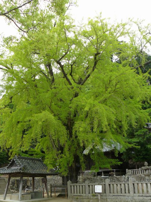 �Z�𔪔��_��