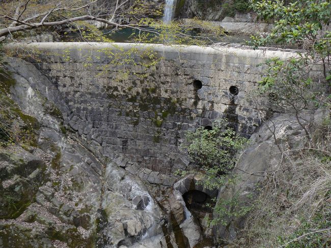 ����搅����