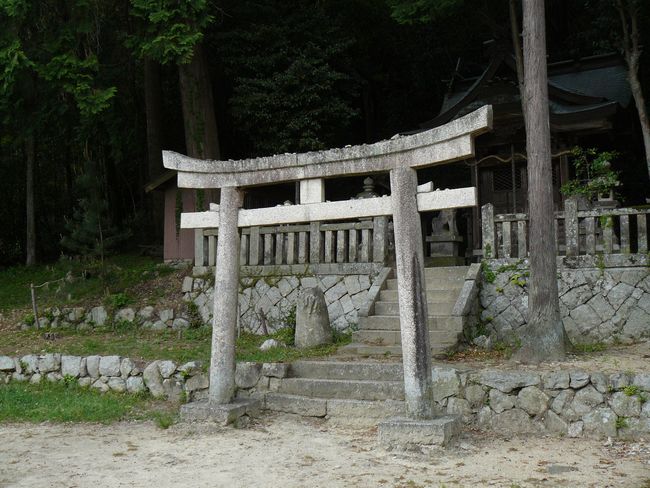 �V�F���_��