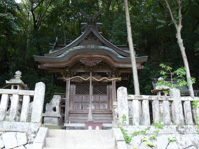 �V�F���_��