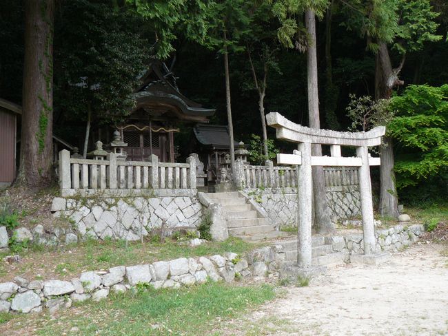 �V�F���_��