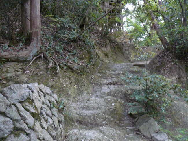 �ቤ�q�_��