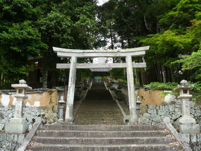 ���������_��