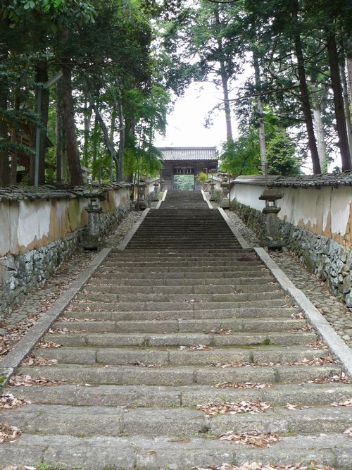 ���������_��