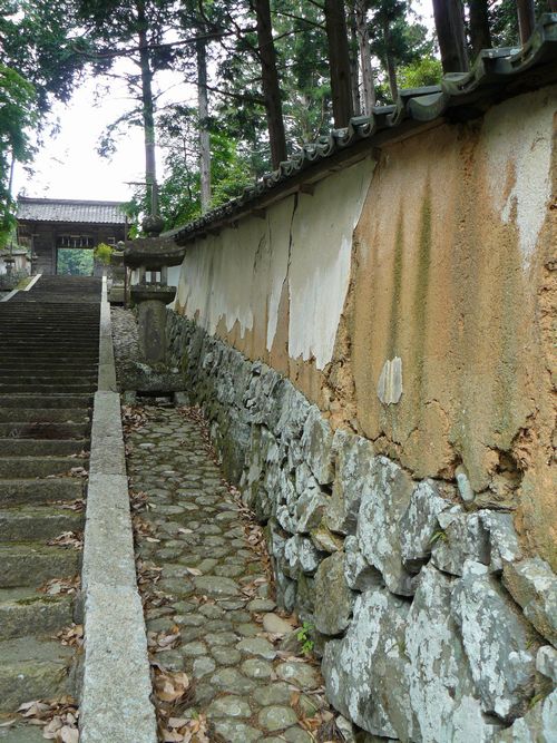 ���������_��