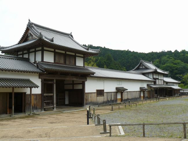 �O�����w��