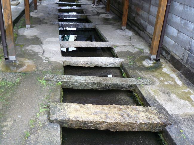 �����E�ۈ�̐����