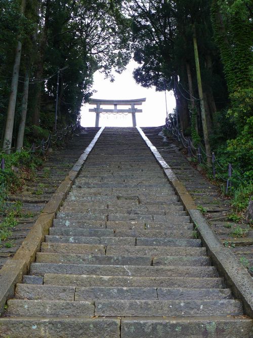 ��{�����{