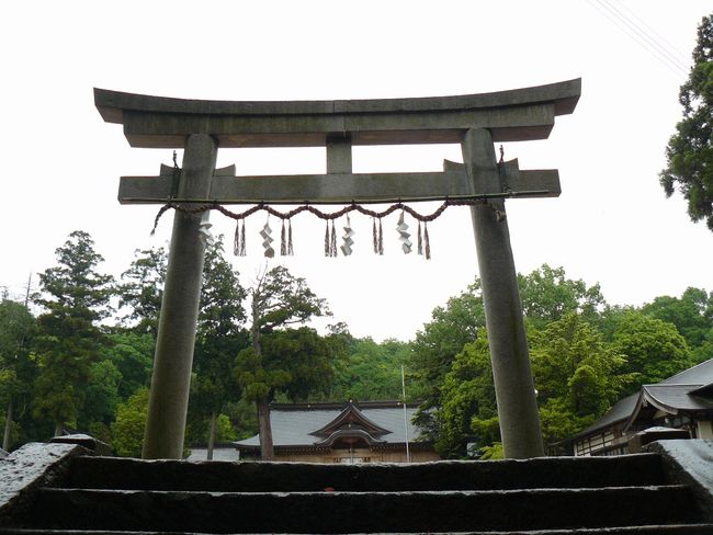 ��{�����{