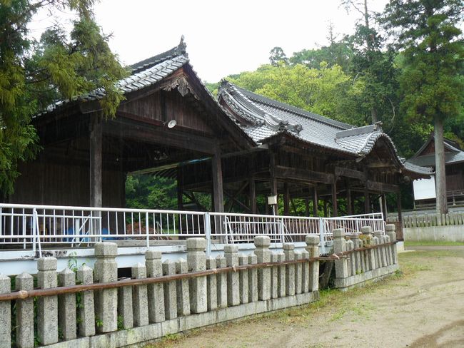 ��{�����{