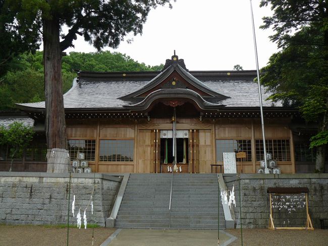 ��{�����{