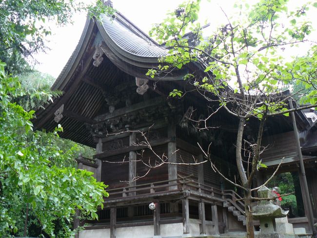 ��{�����{