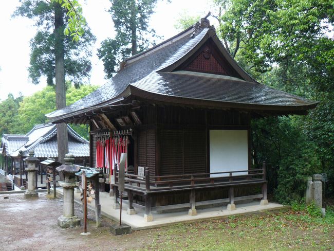 ��{�����{