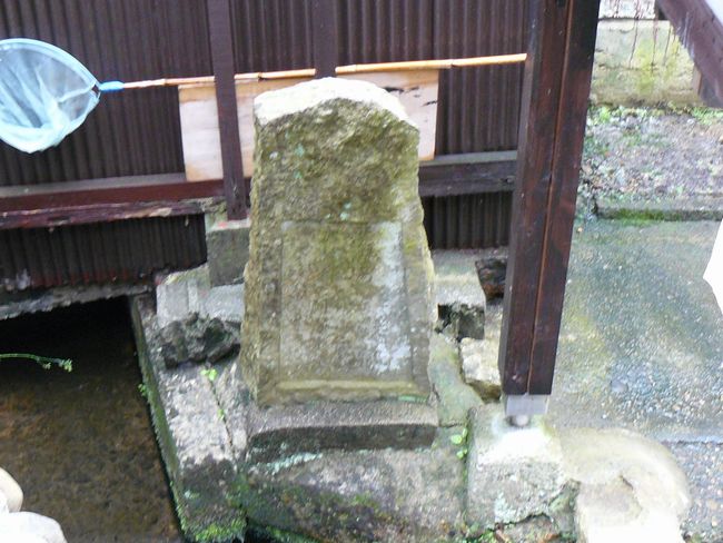 �����̐����