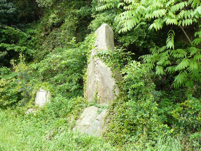 ������ԏ�