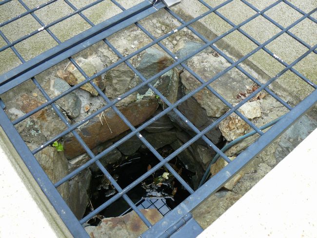 ���x�̈��