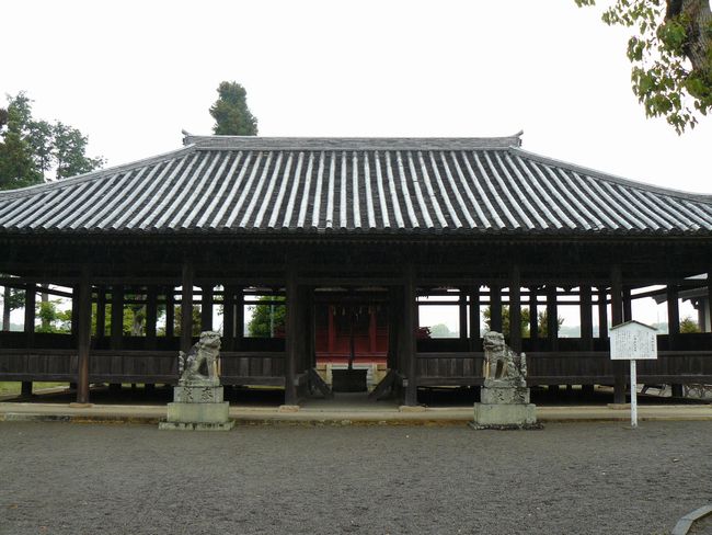 �����_��