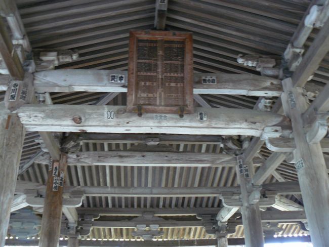 �����_��