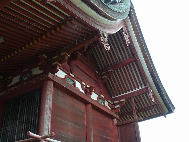 �����_��