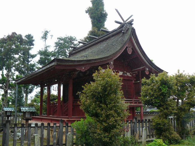 �����_��