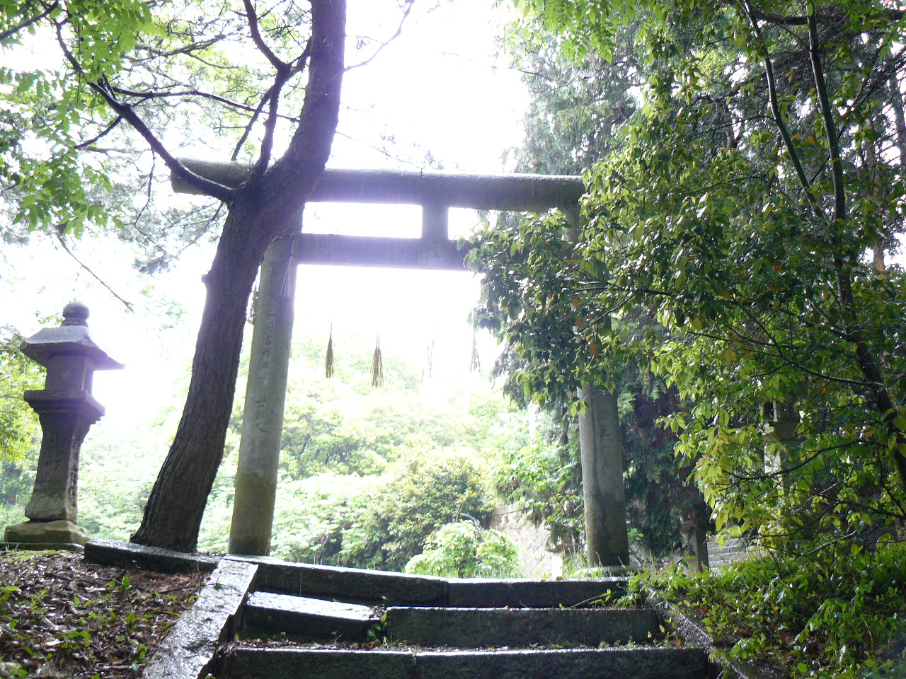 �_���_��