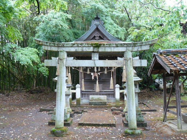 �_���_��