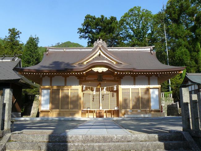 �����z�_��