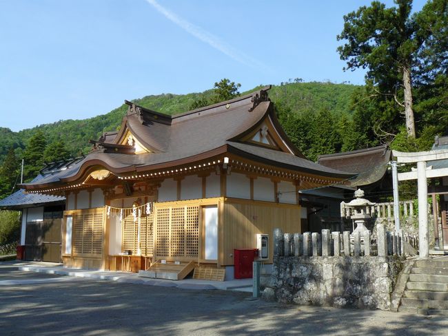 �����z�_��