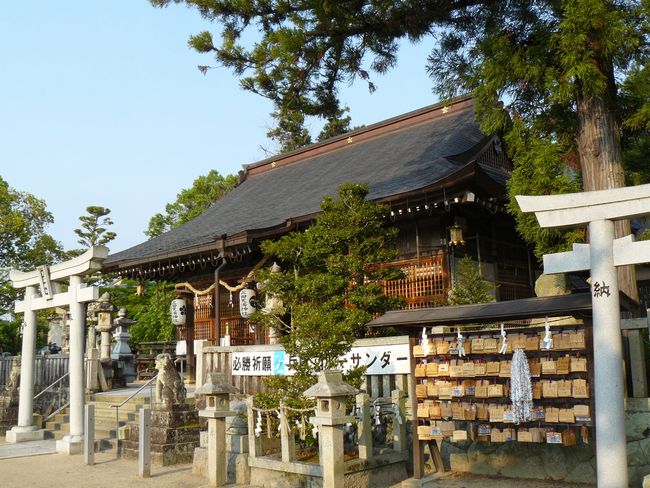 �O�c�V���_��