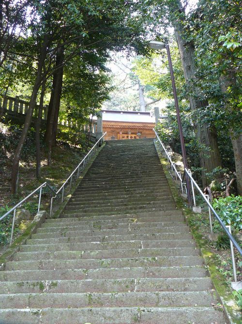 �F�s��_��